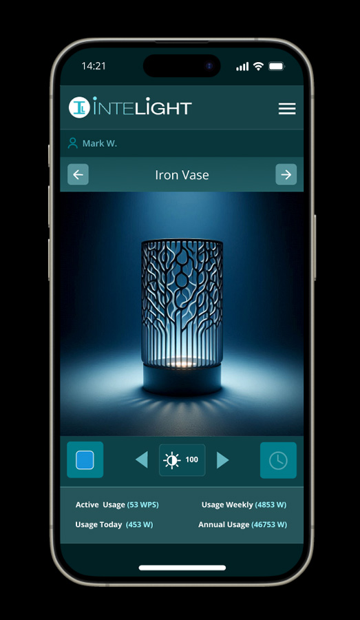 Mobile App Interface Design Product View